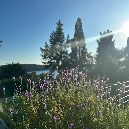 Διαμέρισμα Poljana