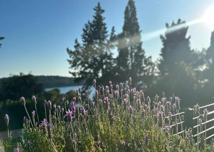 Апартаменты Poljana