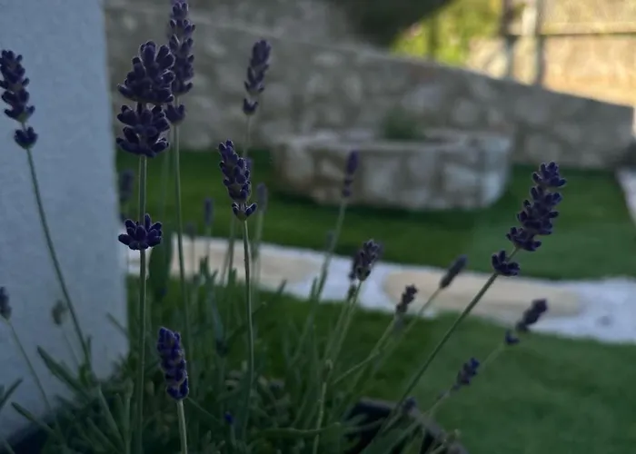 Poljana Апартаменты *